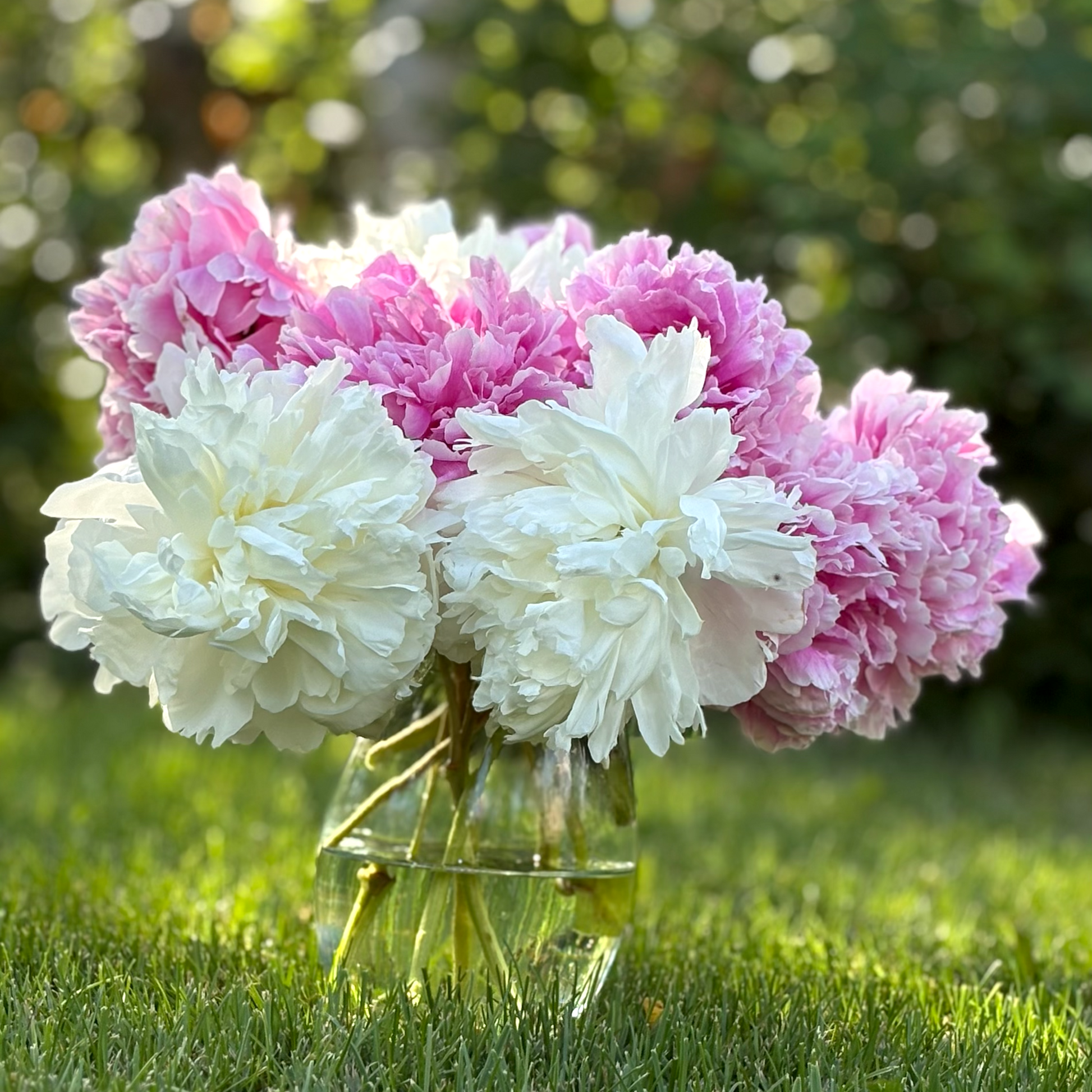 Famers Choice Close Up (side)