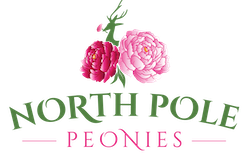 North Pole Peonies logo