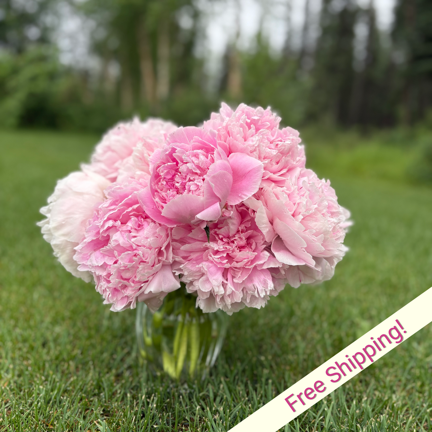 Pretty in Pink